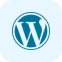 WordPress Developer