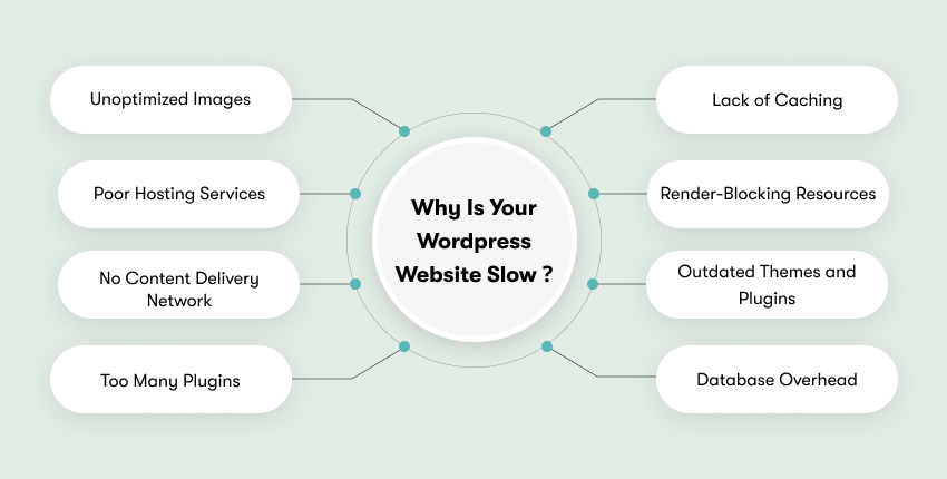 Why Is Your WordPress Website Slow?​
